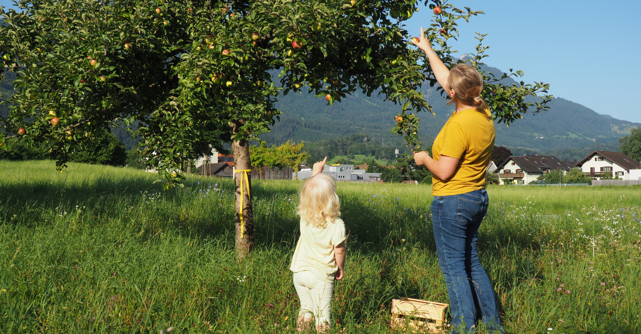 Kind und Frau beim Pflücken von Äpfeln